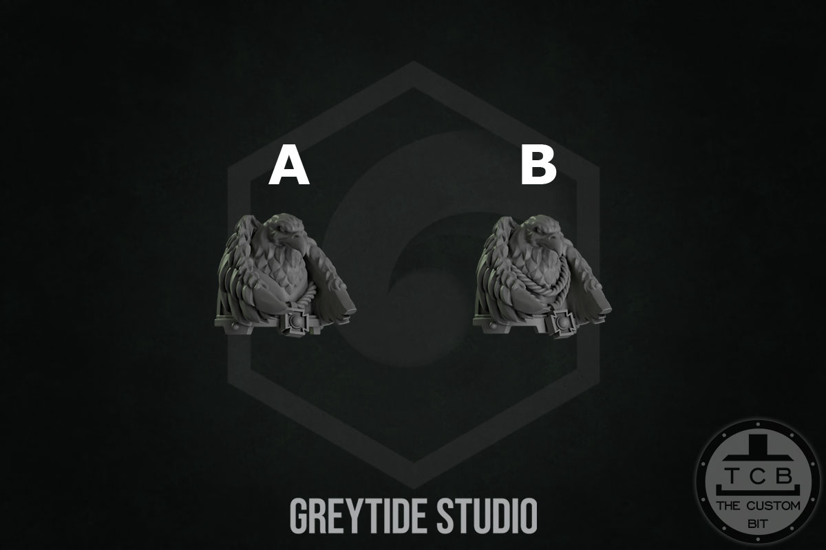 THE CUSTOM BIT TCB KICKSTARTER GREYTIDE STUDIO PRIMARIS BITS SPACEMARINES ETERNAL PILGRIMS